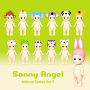 Regular Series (1pc)